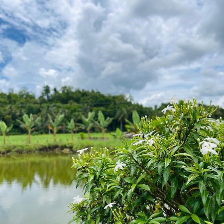 Jazz Ferme Inn Batuan Bohol Exteriör bild