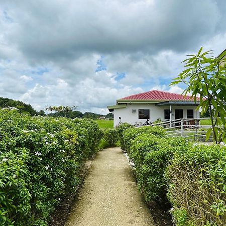 Jazz Ferme Inn Batuan Bohol Exteriör bild