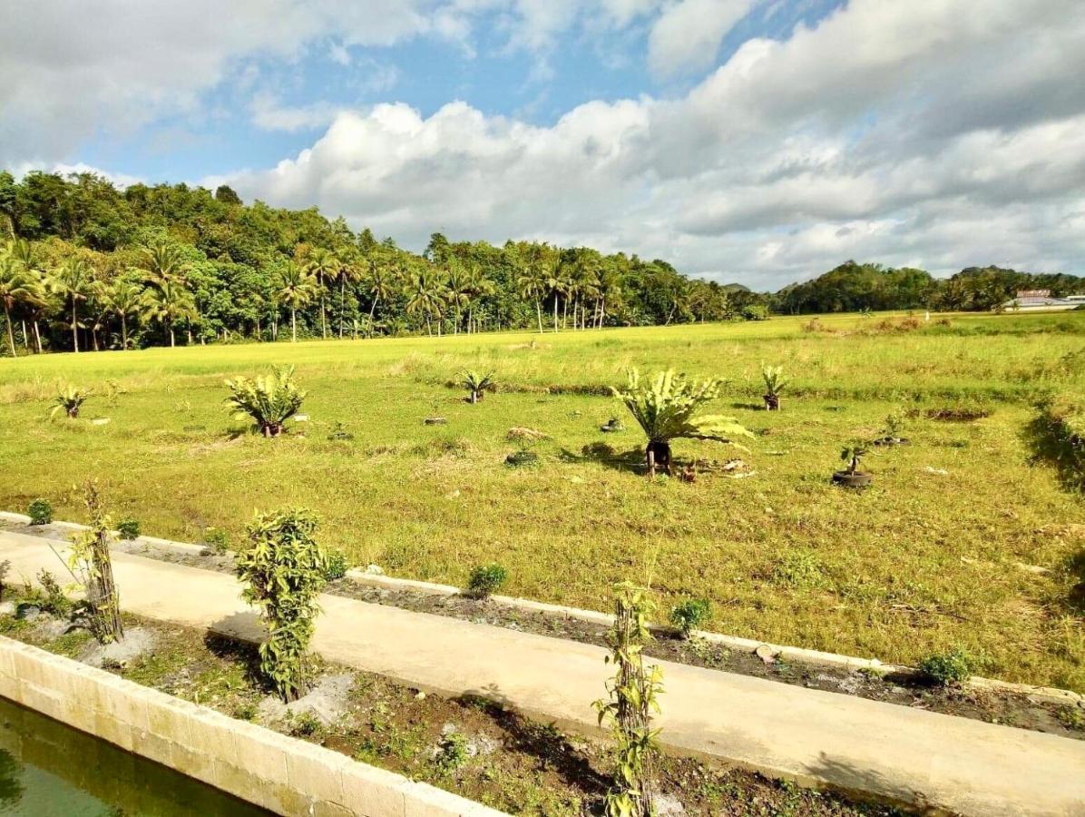 Jazz Ferme Inn Batuan Bohol Exteriör bild