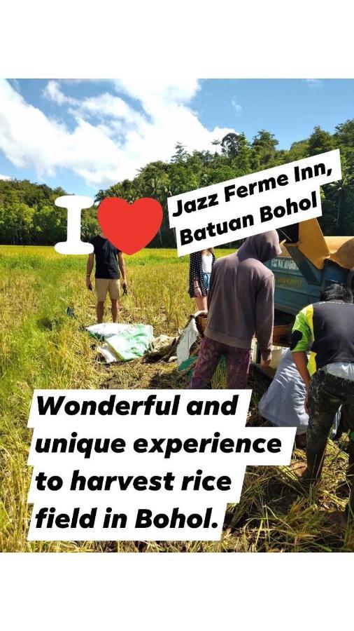 Jazz Ferme Inn Batuan Bohol Exteriör bild