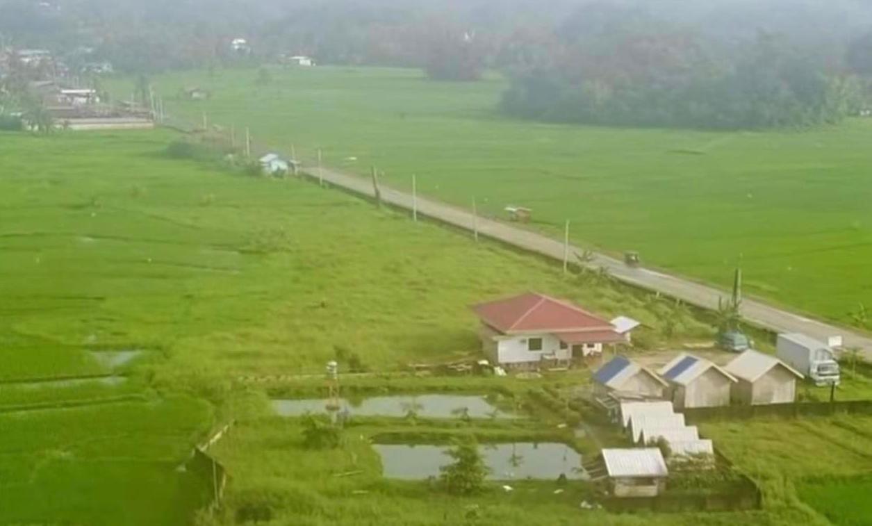 Jazz Ferme Inn Batuan Bohol Exteriör bild