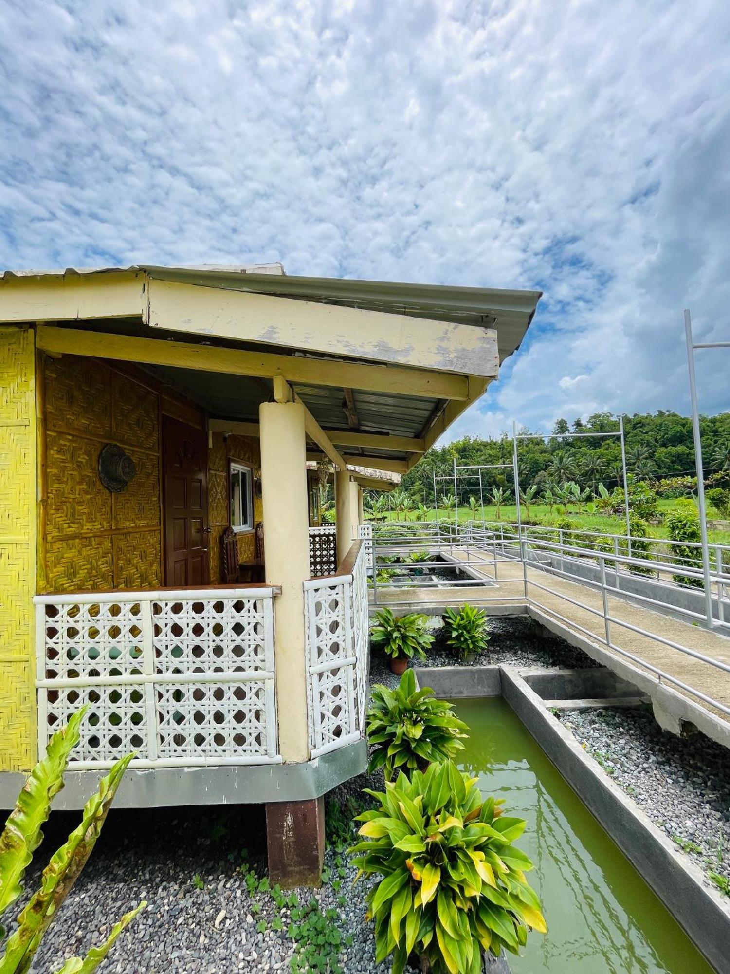 Jazz Ferme Inn Batuan Bohol Exteriör bild