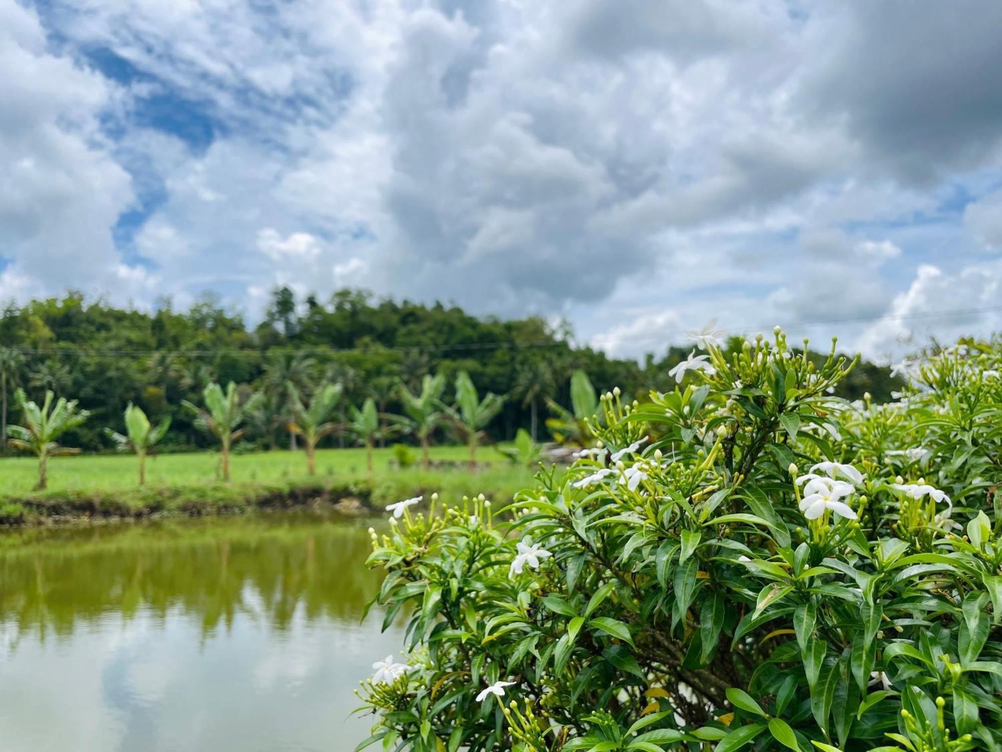 Jazz Ferme Inn Batuan Bohol Exteriör bild