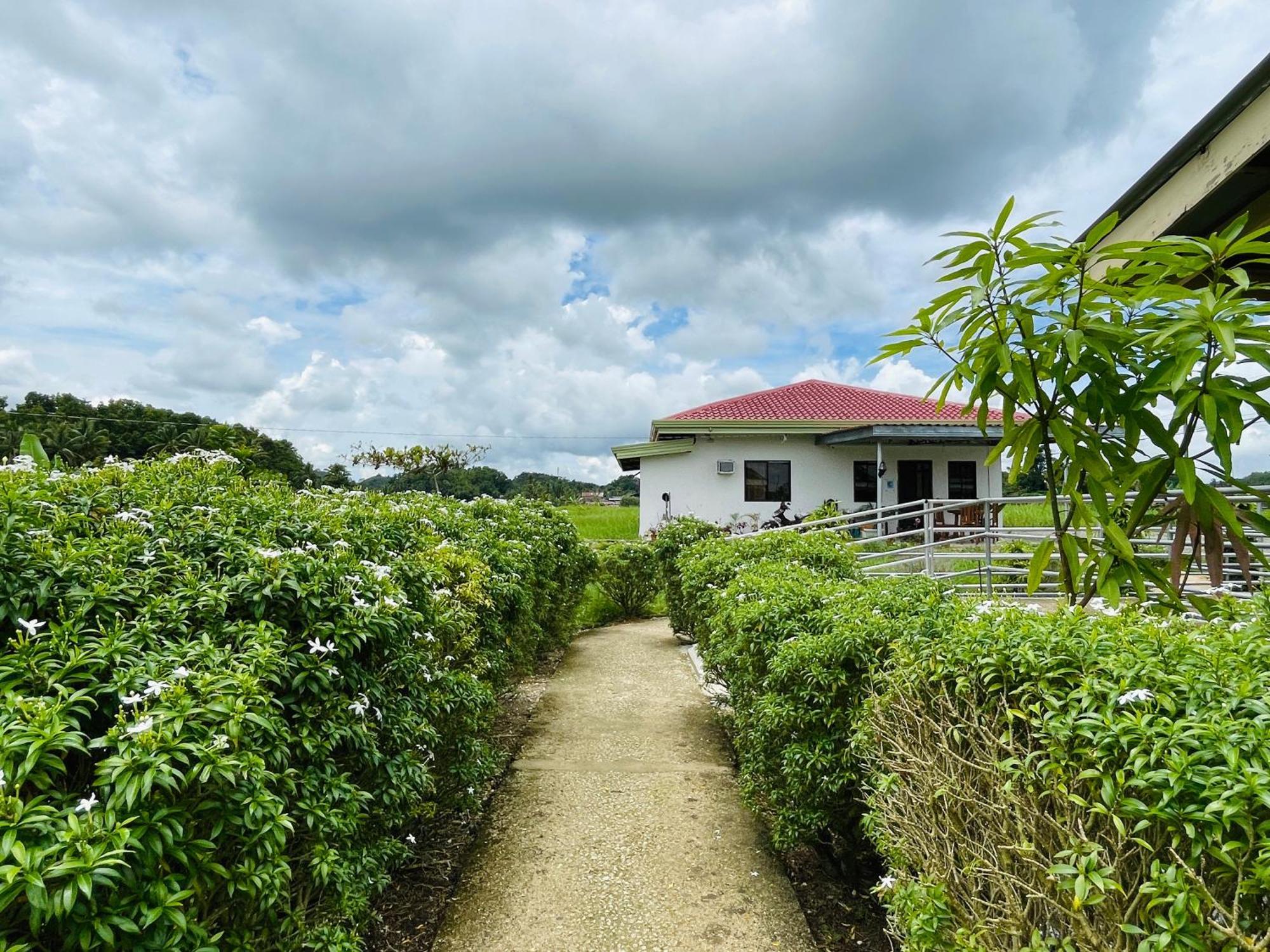 Jazz Ferme Inn Batuan Bohol Exteriör bild
