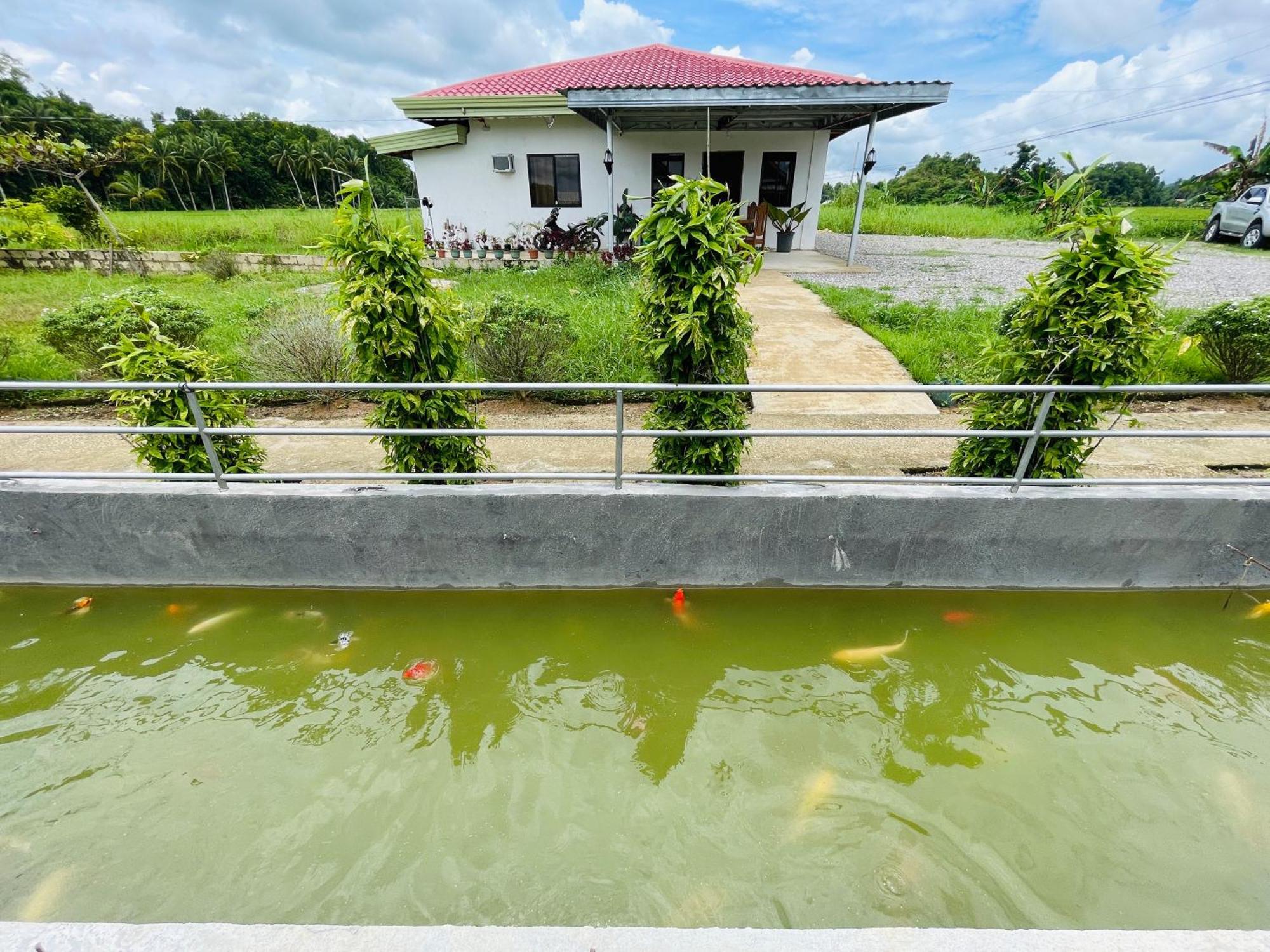 Jazz Ferme Inn Batuan Bohol Exteriör bild