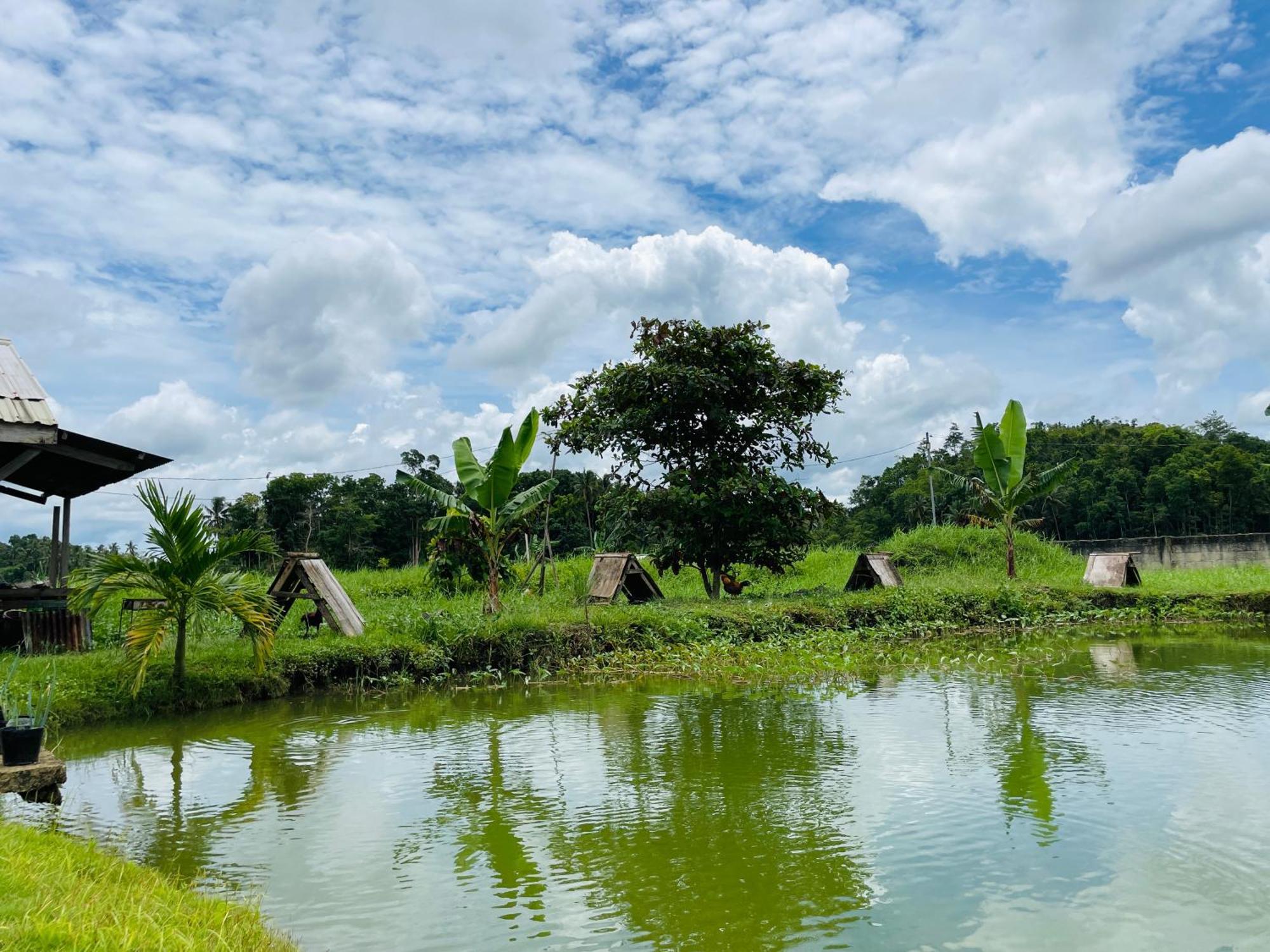 Jazz Ferme Inn Batuan Bohol Exteriör bild