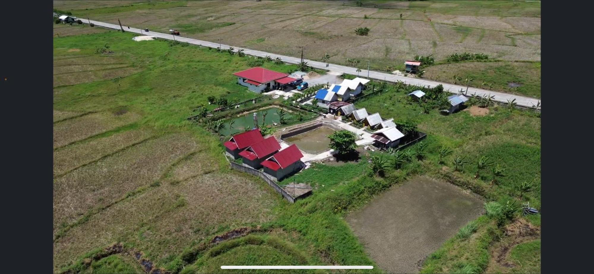 Jazz Ferme Inn Batuan Bohol Exteriör bild